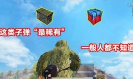 吃鸡爆料侠客视频大全最新,揭秘热门游戏幕后故事与精彩瞬间