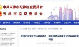 河北最新反腐爆料,多领域官员密集落马，揭开腐败黑幕